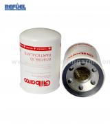 Fuel dispenser filter